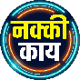 नक्की काय Logo